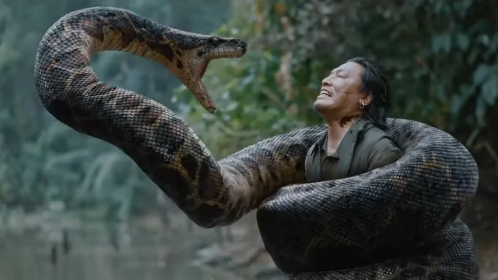 Anaconda